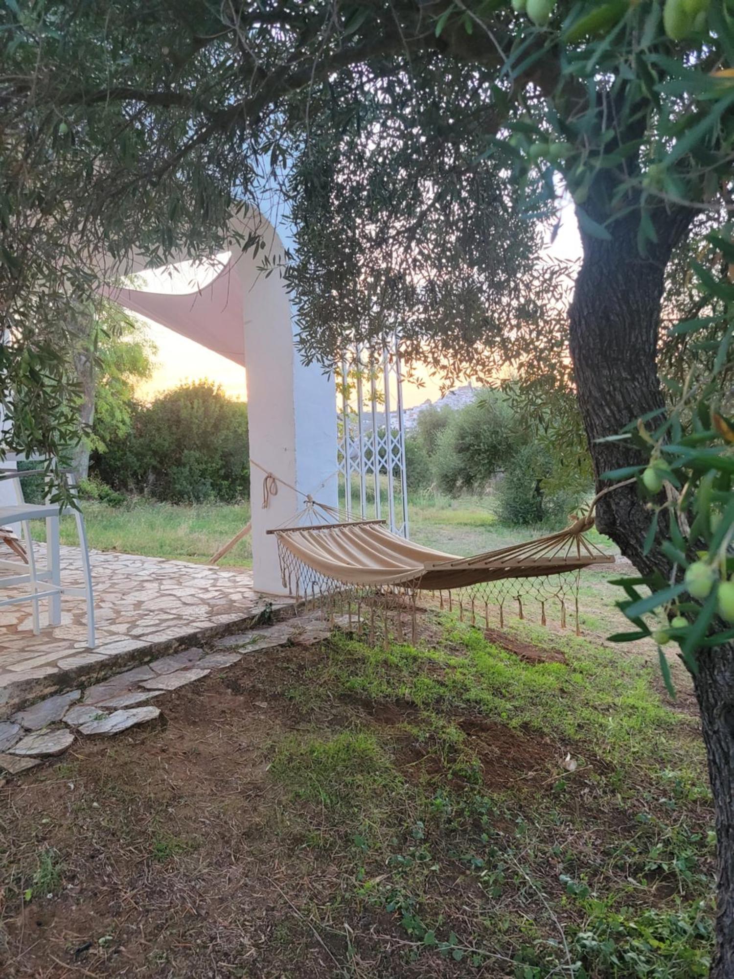 Bungalow -Escapadas En Arcos De La Frontera Exterior photo
